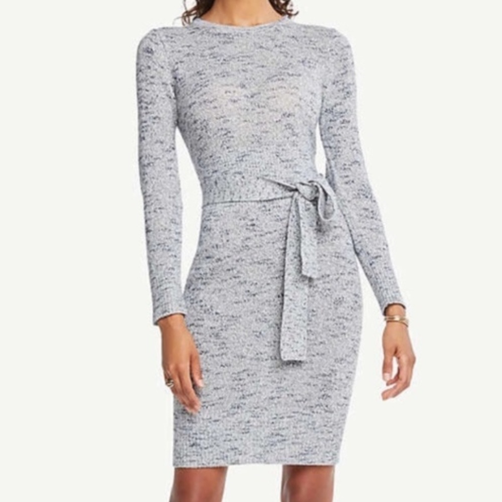ANN TAYLOR FACTORY Petite Belted Sweater Dress